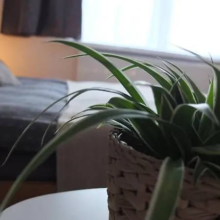 Gaeste-apartment Gartenblick Lotte