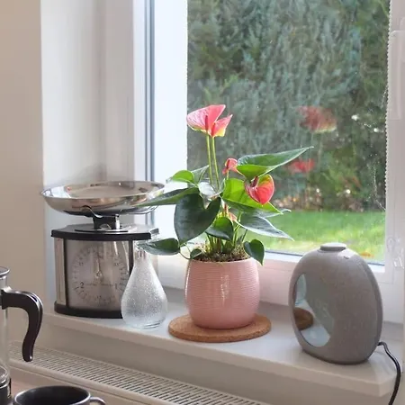 Gaeste-apartment Gartenblick Apartamento