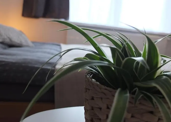 Gaeste-apartment Gartenblick Lotte