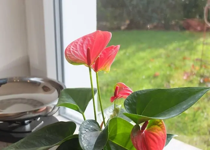 Gaeste-apartment Gartenblick